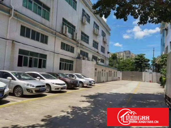 观澜汽车站新出原房东独门独院三层3000平精装修厂房