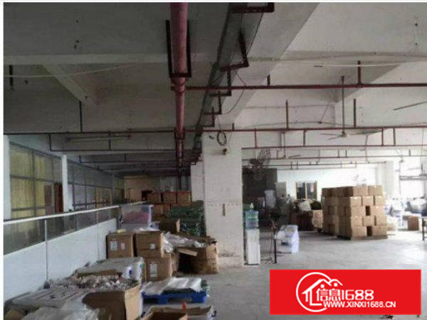 东坑寮边头村现有标准一楼厂房1000平米出租