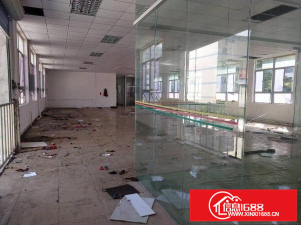 凤岗漂亮工业园空出大量厂房带装修600方起租