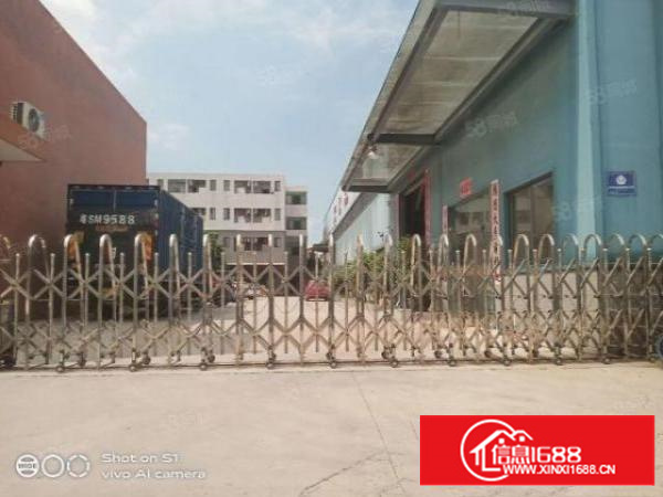 万江工业区独门独院全新钢构滴水10米超靓厂房出租