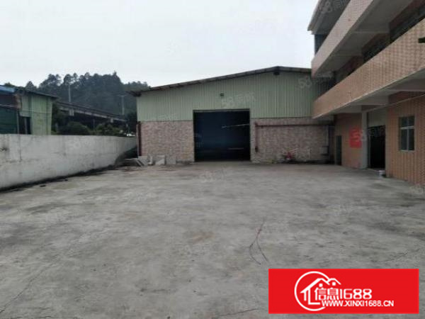 不拆迁容桂独门独院1300方厂房出租，带办公室，配电大，