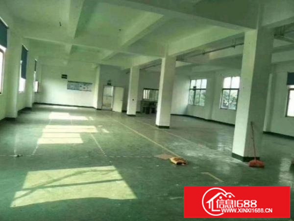 观澜兴万达对面1-3楼独院厂房1500平方精装修