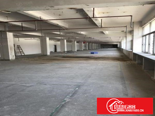 龙山工业区厂房仓库5200平方米出租可分租