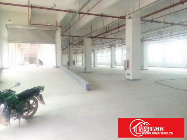 仲恺高新区超靓标准厂房12000可大小分租