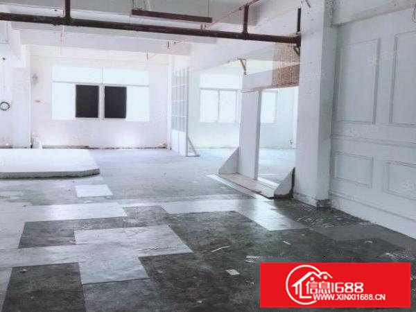 房东厂房450平电商贸易服装电子科技摄影网红仓库五金