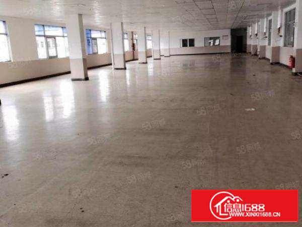 凤岗原房东大空地独院厂房8000平方(靠山)招租