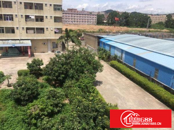 秋长1600平带电梯大车随意进出现成水电环境优雅