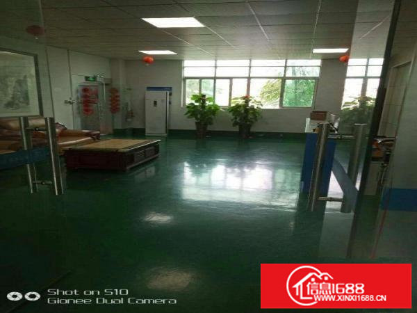 坪山石井惊现12元带精装修厂房无装让费招租