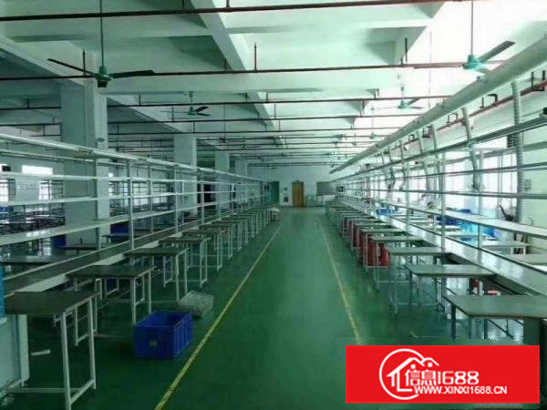 树田工业区原房东独门独院1000平方厂房分租