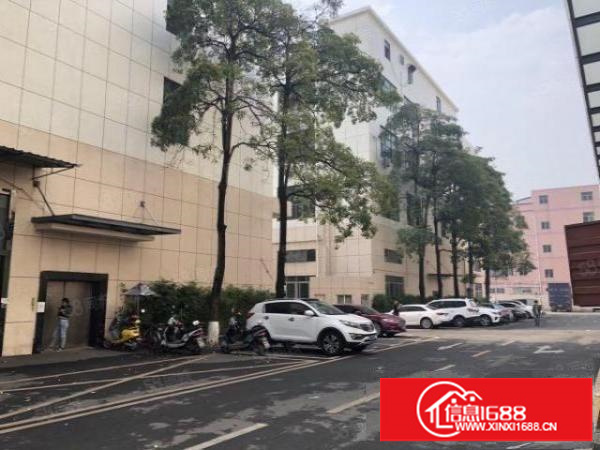 石岩镇新出楼上带精装修，无转让费2800平方厂房出租