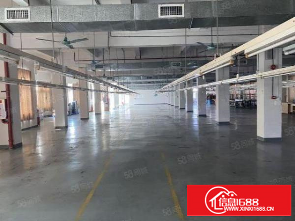 万江简沙洲楼房独院11000平米