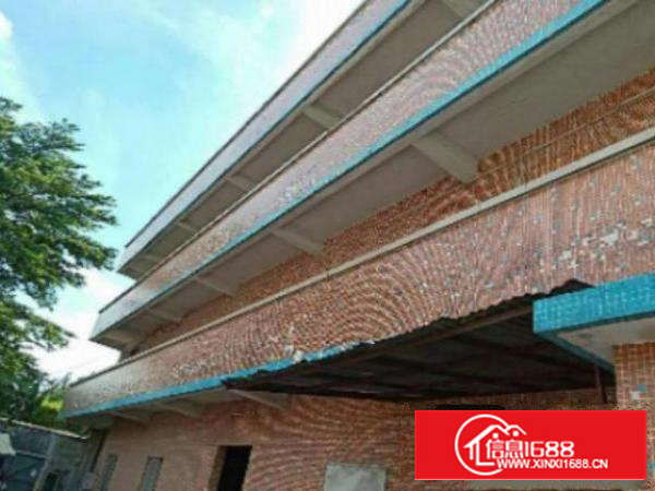 万江单一层独院1600平方招租，配套齐全、交通方便