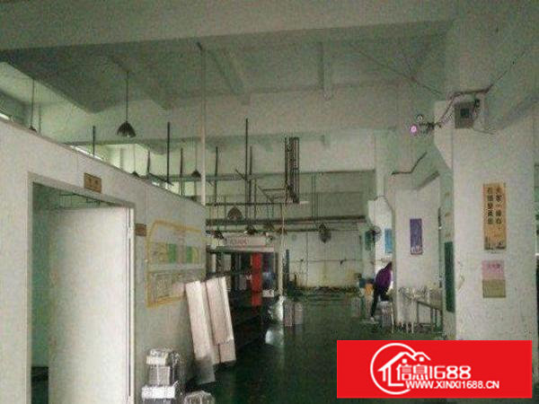 龙岗龙城一楼厂房招租1100平方空地大交通便利