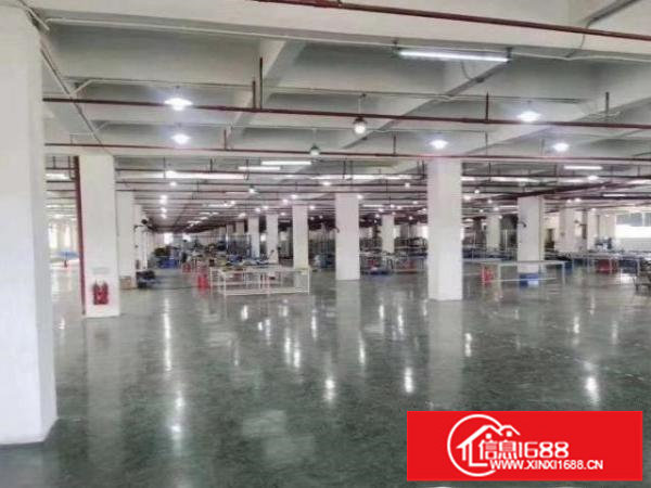 观澜独门独院新出来空地大大小可分