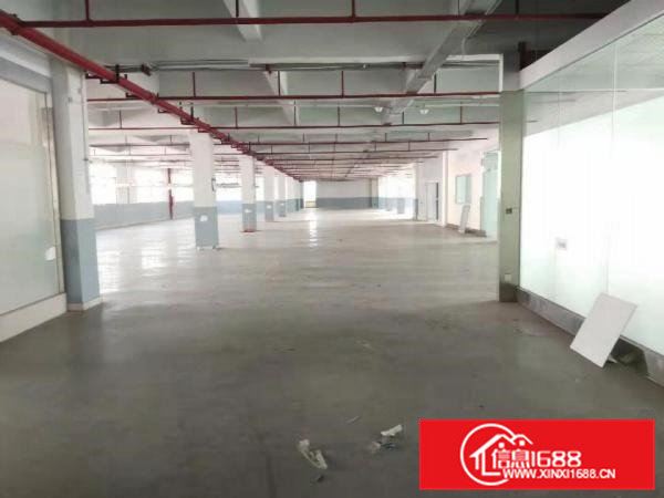 原房东标准厂房二楼出租