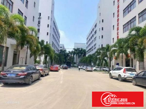 塘厦新出精装修3楼700平