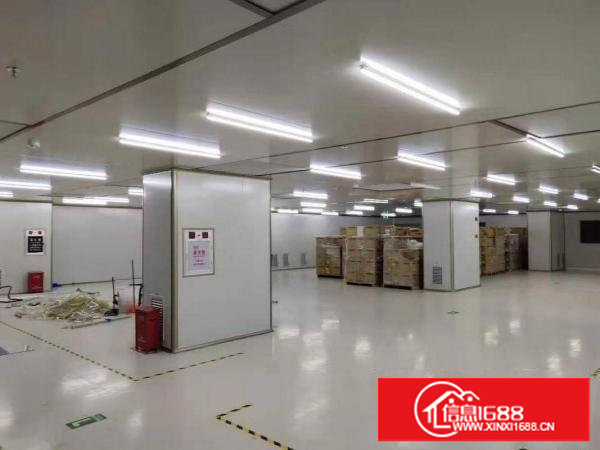 塘厦莲湖缤纷广场九成新无尘车间2600平方