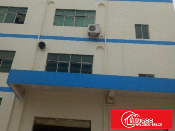 大亚湾新出靓厂房1楼2600平方滴水5米带牛角