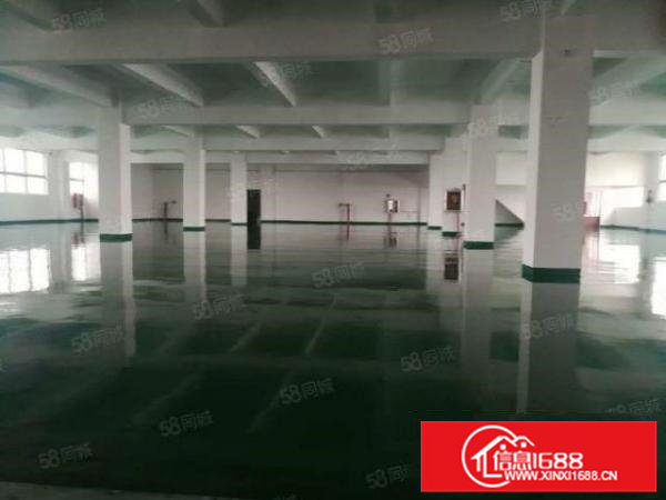 精装修一楼1200平方出租