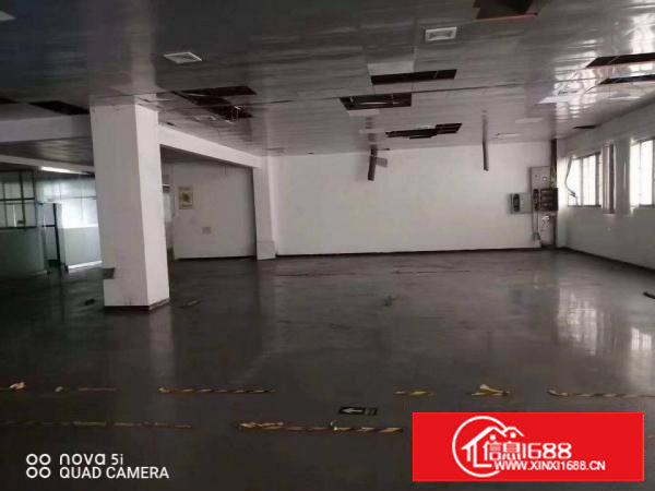 锦厦新出豪华装修一楼