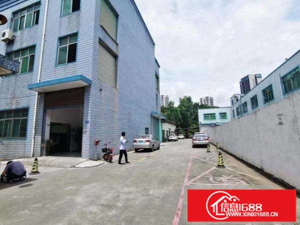 观澜福民1100平带红本独门独院一楼可办环评配办公