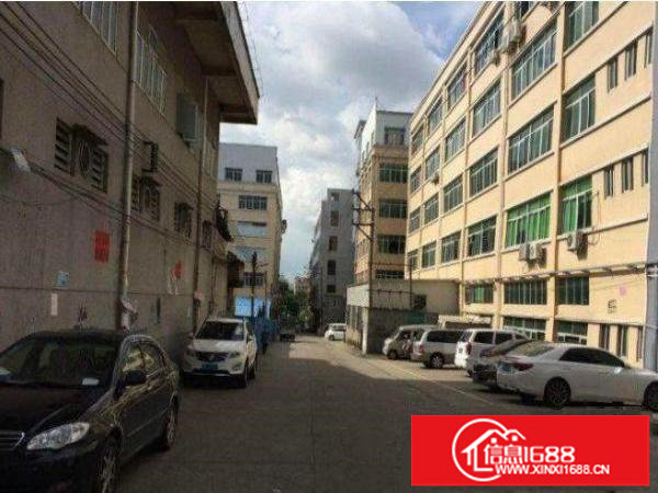 横岗龙岗大道新出1200平方楼上厂房招租无公摊