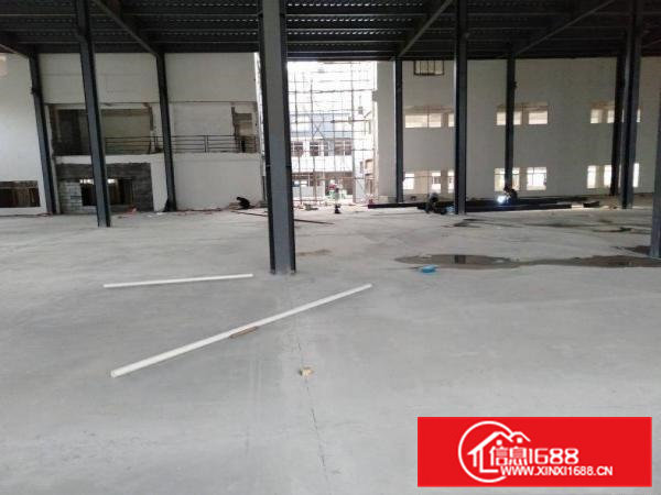 大宁，钢构厂房1500平方，低价15元甩租，高7米水电全齐