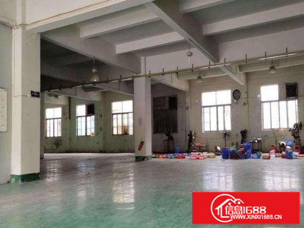 大朗佛新工业区独门独院新出一楼1200平出租水电办公室齐全