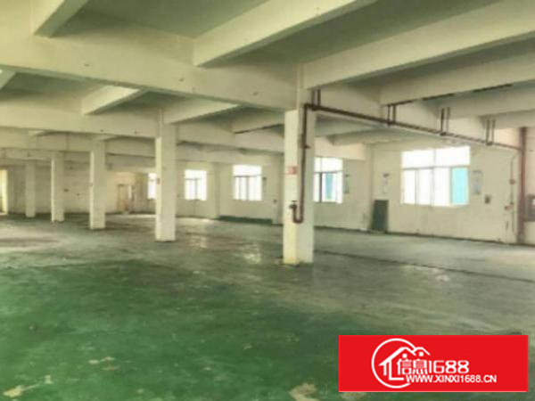 万江工业城标准厂房招租1600平方带地坪漆