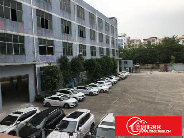 坪地一手房东独院厂房16000平招租可办环评租18元