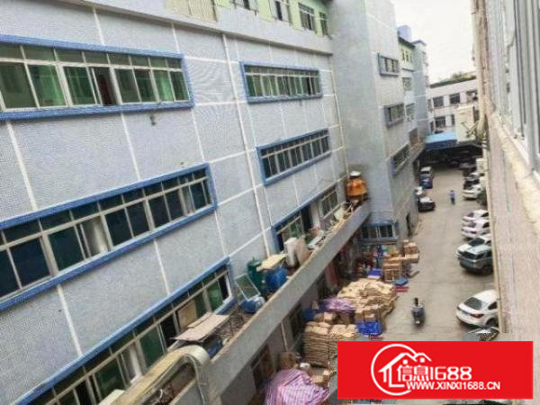 龙岗可办环评新出楼上400平米带精装修厂房招租