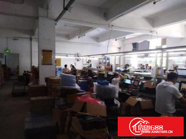 出租福永107独院一楼厂房700