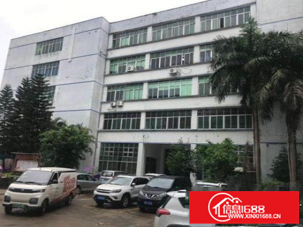 横岗安良沙荷路主干道旁新出楼上280平带精装修现成服装厂出租