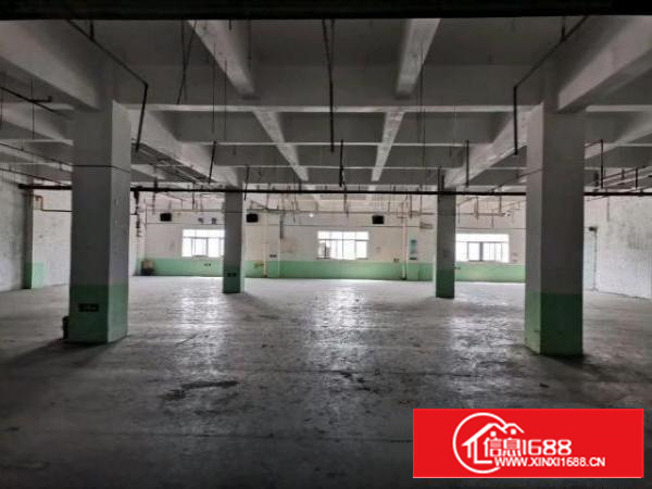 石碣地区大小厂房出租