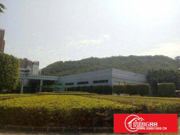 大亚湾新出12米钢构两万平超大空地花园式厂房出租