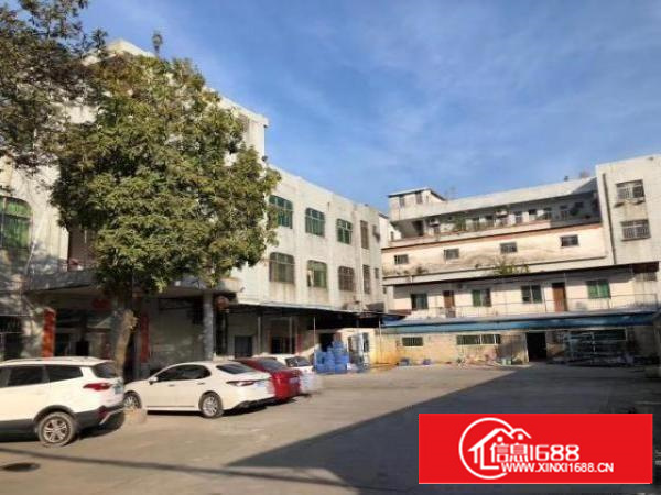 石碣桔洲独门独院标准厂房