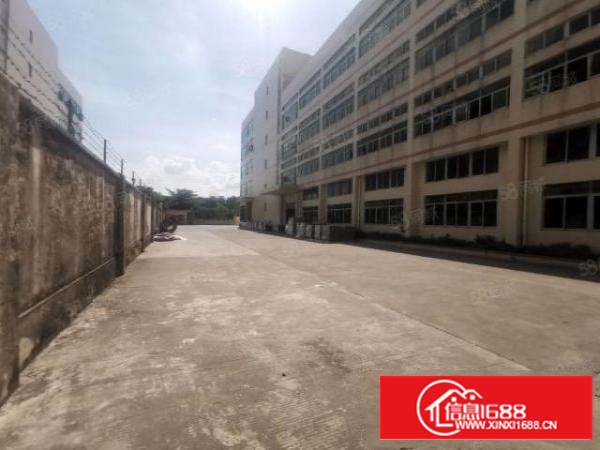 茶山新出全新独门独院厂房形象好交通便利东部快速附近