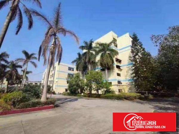 长安镇霄边6000平方可分租