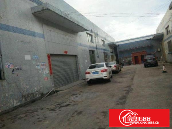 惠阳秋长原房东钢构600平出租无公摊滴水7米带装修配电按需