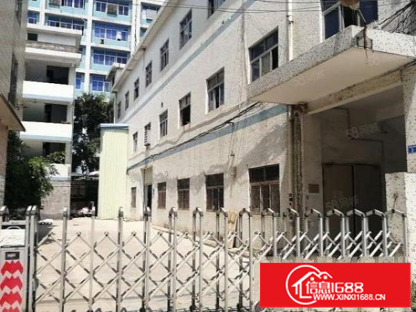 深圳观澜新出独院厂房出租！位置优越，价格低，户型方正大小可分