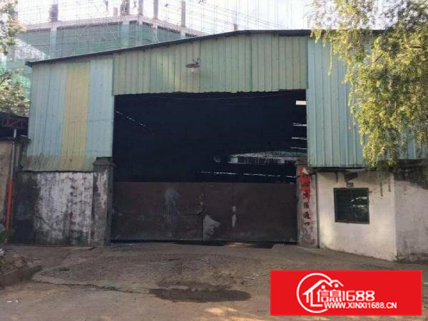 凤岗金凤凰独院铁皮房出租1500平高7米