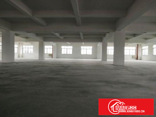 带卸货台、空地大，顺德伦教1600方标准厂房出租