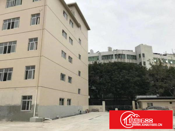 六约全新独院厂房15层7400平米，大小可分租