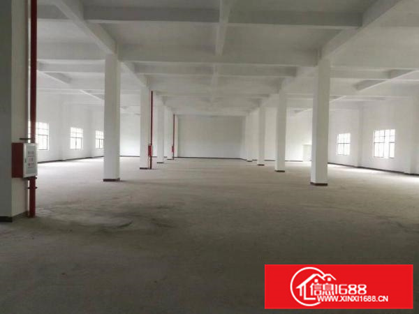 惠州原房东陈江镇独栋全新标准厂房3900平可分租