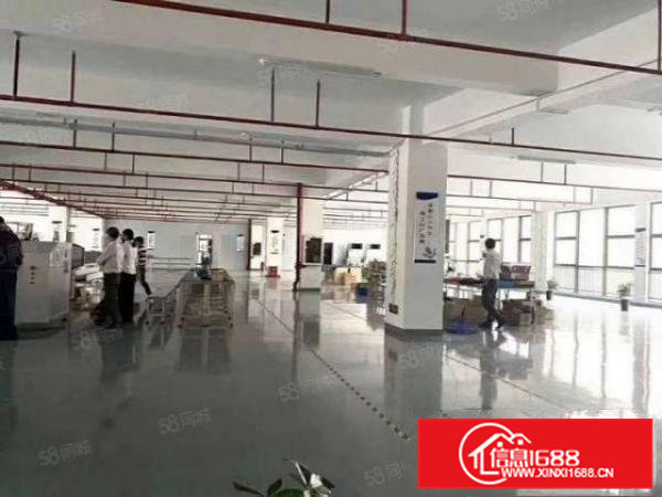 清溪镇谢坑村新出原房东二楼整层980平精装修厂房出租可分租