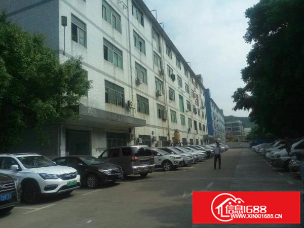 横岗228工业区1850平带前台装修办公室厂房出租