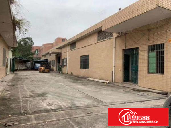 大朗镇沙步工业区独院单一层钢构厂房出租，总面积1800平