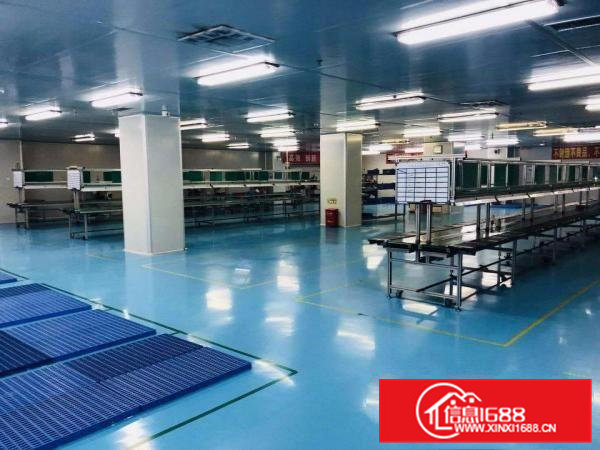 东莞凤岗雁田独院厂房出租3万5千平适合塑胶玩具汽车配件