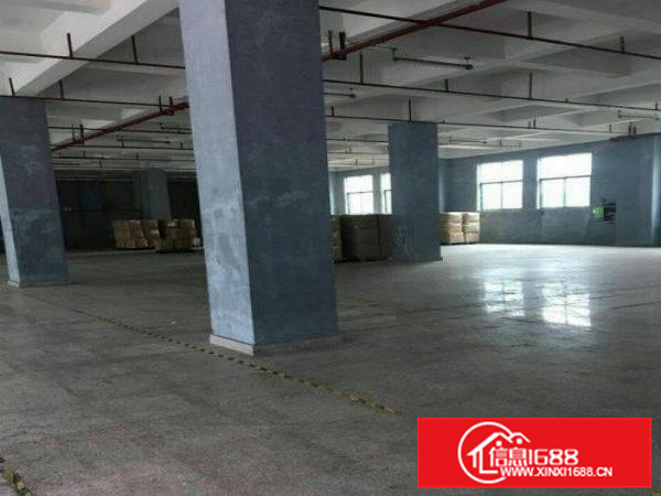 仲恺沥林有厂房面积2000平，带消防喷淋，有红本