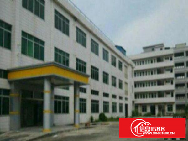 高埗工业区标准一楼1000平方招租水电齐全